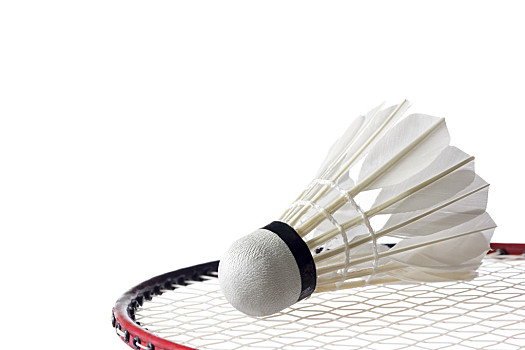 如何在高强 如何在高强